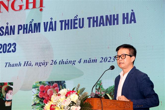 Hải Dương chủ động thị trường cho mùa vải thiều Thanh Hà 2023 ảnh 3