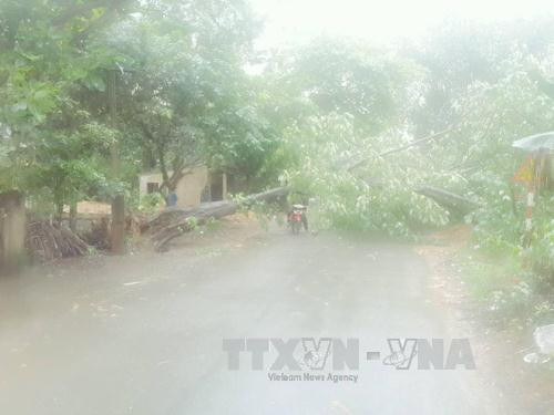 Áp thấp nhiệt đới gây gió giật trên biển, Bắc Bộ có mưa rào và dông ảnh 1