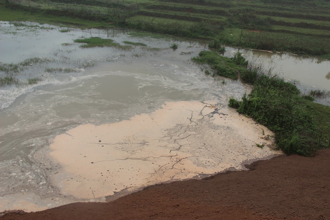 Yêu cầu Điện lực Vĩnh Tân 1 có đề án xử lý tro, xỉ trước khi hoạt động ảnh 1