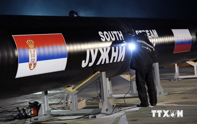 Ông Putin: Nga không thể tiếp tục dự án "Dòng chảy phương Nam" ảnh 1