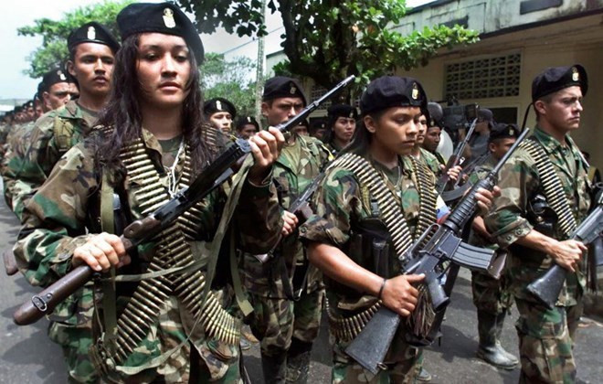 Colombia: Hàng chục nghìn thành viên FARC cam kết từ bỏ vũ khí ảnh 1