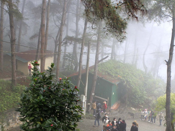 Tam Đảo tấp nập vào mùa du lịch với diện mạo mới ảnh 1