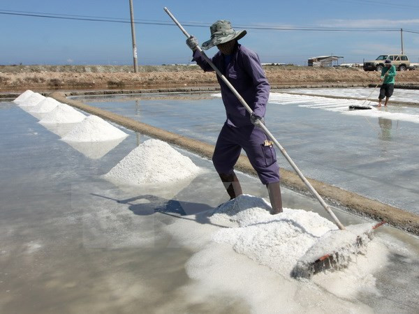 Bán một tấn muối, lợi nhuận chỉ bằng 4 bát phở bình dân ảnh 1