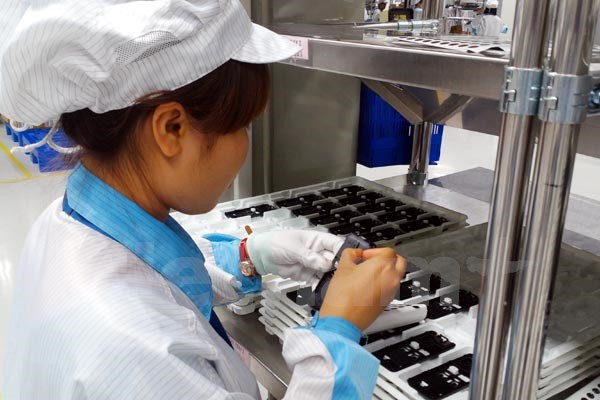 Ngành phần mềm Việt: Sụt giảm trong nước, tăng trưởng nước ngoài ảnh 2