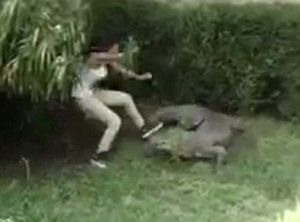 [Video] Nữ du khách dại dột nhảy vào chuồng cá sấu ở vườn thú ảnh 1