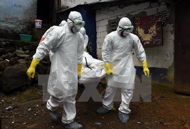 Liberia xác nhận có thêm hai trường hợp mới bị nhiễm Ebola ảnh 1