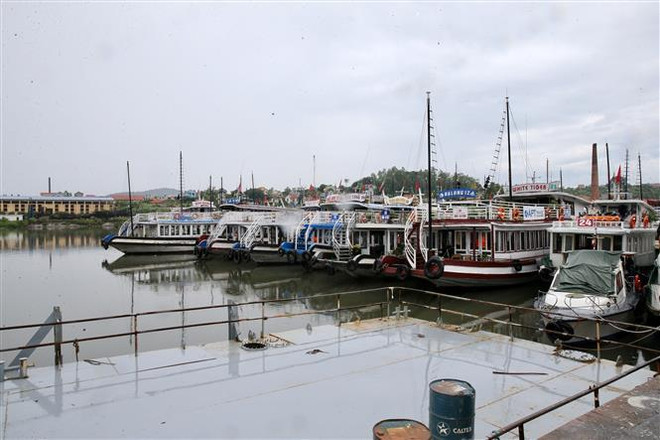 Công tác phòng, chống bão số 3 Wipha tại Quảng Ninh, Tuyên Quang ảnh 1