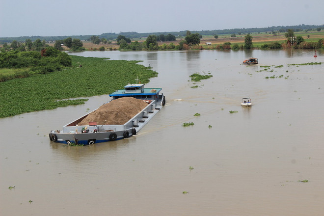 Xác định nguyên nhân làm nước sông Vàm Cỏ Đông bị ô nhiễm ảnh 1
