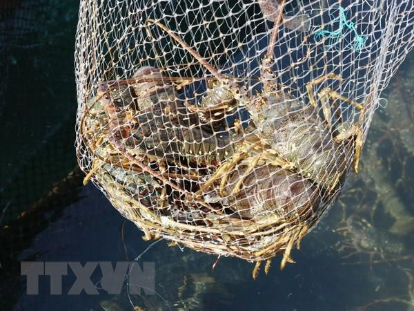 Kim ngạch xuất khẩu thủy sản 2 tháng đầu năm tăng 4,4% ảnh 1