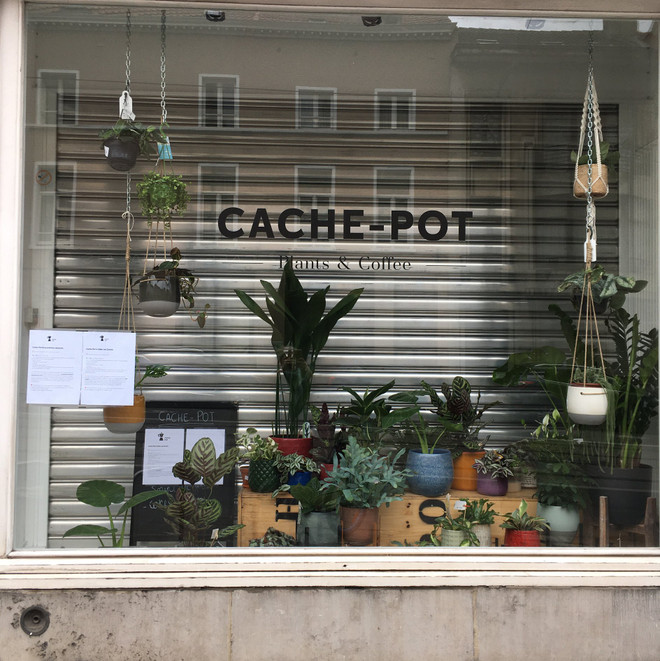 Bỉ: Quán càphê "Cache-pot" với mô hình đọc sách chậm thu hút độc giả ảnh 2