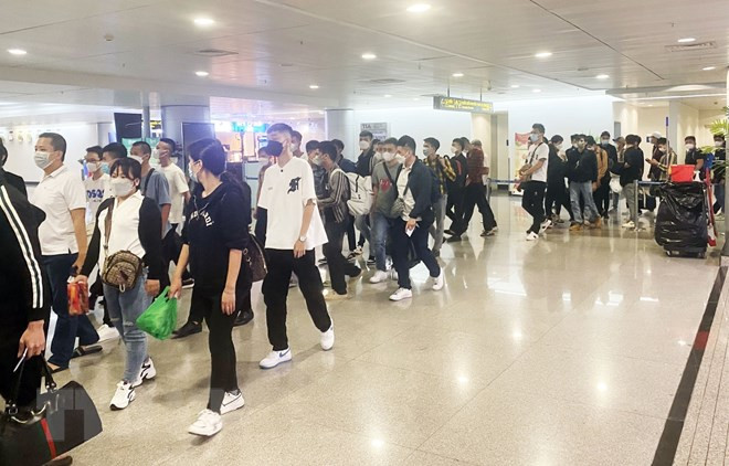 Giải cứu công dân Việt ở Philippines: 140 người đã về nước an toàn ảnh 1