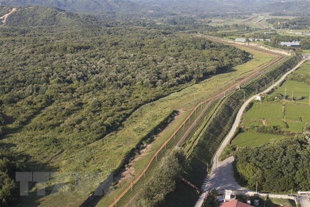 Hàn Quốc mở lại đường mòn du lịch trong Khu phi quân sự DMZ ảnh 1