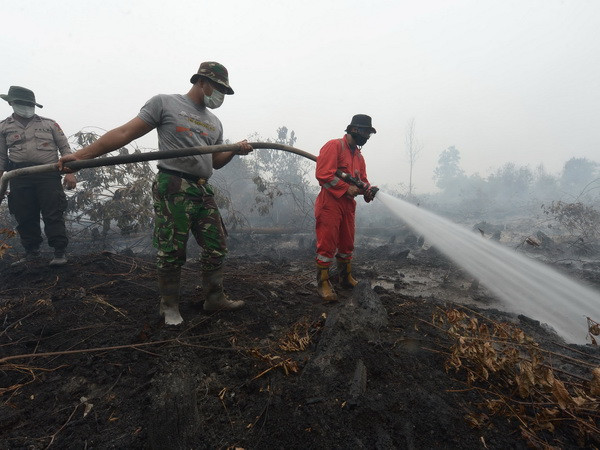 Indonesia phát triển hệ thống kênh rạch kiểm soát cháy rừng ảnh 1