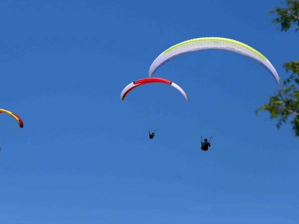 Quảng Nam tạm dừng hoạt động dịch vụ cano kéo dù bay trên biển ảnh 1