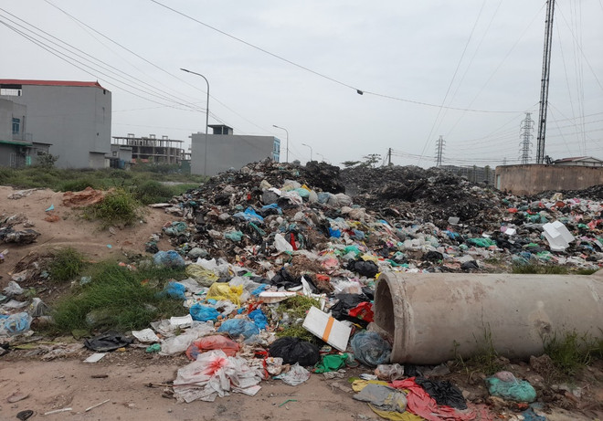 Ủy ban cấp tỉnh quyết định việc phân loại chất thải rắn sinh hoạt ảnh 2