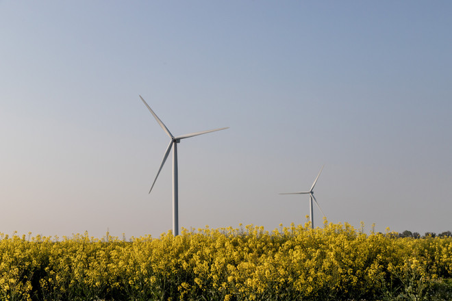 Pháp dự kiến đạt doanh thu 31 tỷ euro từ năng lượng tái tạo ảnh 1