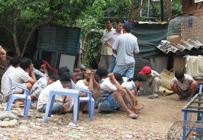 Tiền Giang: Triệt phá trường gà ở vườn sơ ri, bắt 54 đối tượng ảnh 1