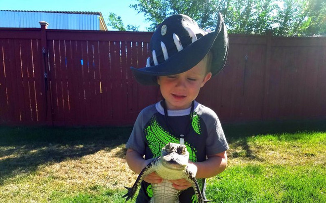 Cậu bé 2 tuổi gây ấn tượng với sở thích chơi đùa cùng cá sấu ảnh 2