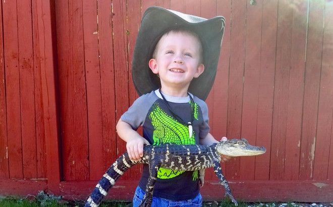 Cậu bé 2 tuổi gây ấn tượng với sở thích chơi đùa cùng cá sấu ảnh 4