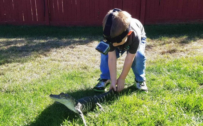 Cậu bé 2 tuổi gây ấn tượng với sở thích chơi đùa cùng cá sấu ảnh 1