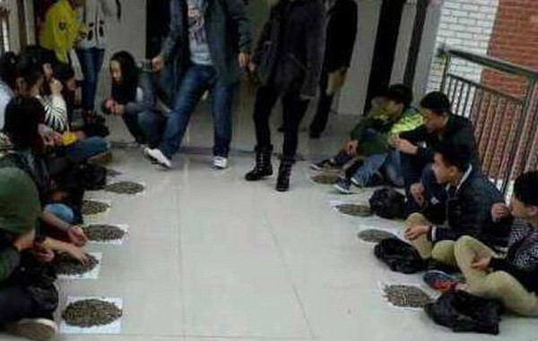 Trung Quốc: Sinh viên ăn vặt bị phạt cắn 50kg hạt hướng dương ảnh 1