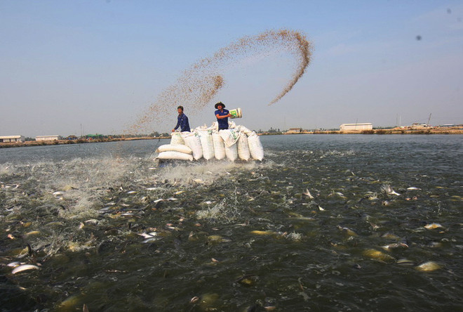 PCI của các tỉnh Đồng bằng sông Cửu Long tăng mạnh ảnh 1