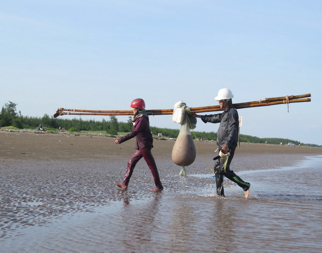 Trúng mùa tép, mỗi ngày ngư dân Tiền Hải thu hàng triệu đồng ảnh 2