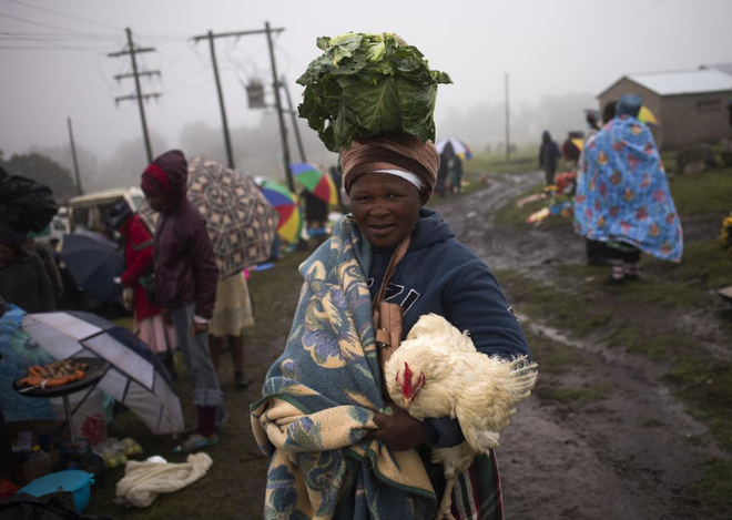 Hiệp hội Gia cầm Nam Phi đề nghị biện pháp trả đũa thương mại Mỹ ảnh 1