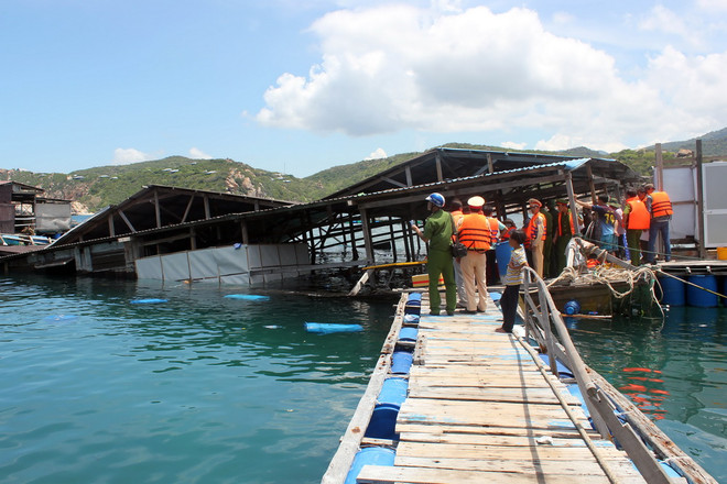 [Photo] Hiện trường vụ lật bè làm 2 người chết tại Ninh Thuận ảnh 2