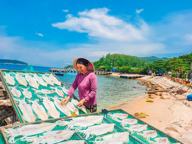 Mực câu được mùa được giá, ngư dân tỉnh Quảng Nam phấn khởi ảnh 1