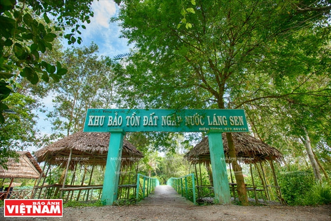 Khu Ramsar Láng Sen: Trải nghiệm khó quên với du khách ảnh 1