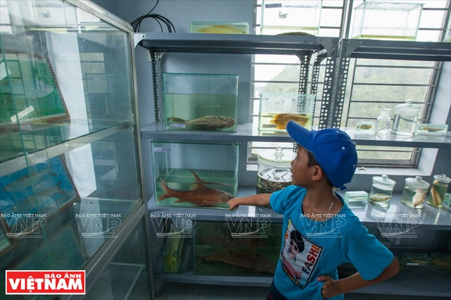 Khu Ramsar Láng Sen: Trải nghiệm khó quên với du khách ảnh 7