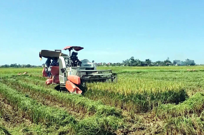 Diện mạo mới trên quê hương Tổng Bí thư Lê Hồng Phong ảnh 3