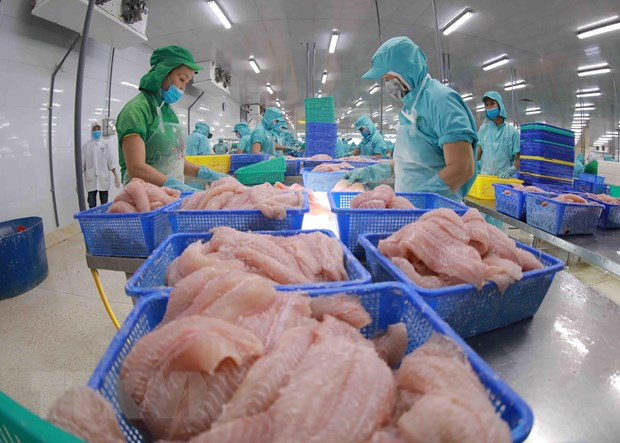 Kim ngạch xuất khẩu tôm và cá tra tăng trưởng trái chiều ảnh 2
