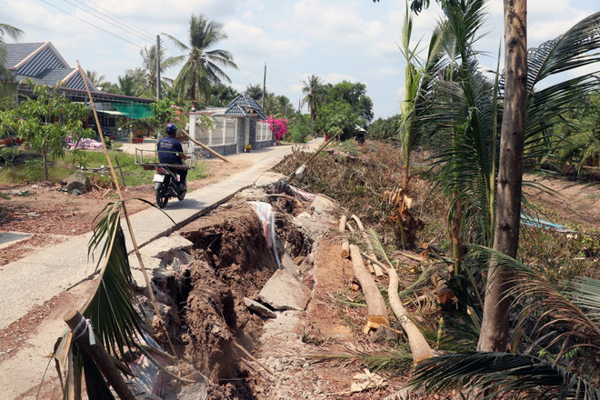 Kiên Giang: “Bão khô” gay gắt bủa vây vùng đệm U Minh Thượng ảnh 1