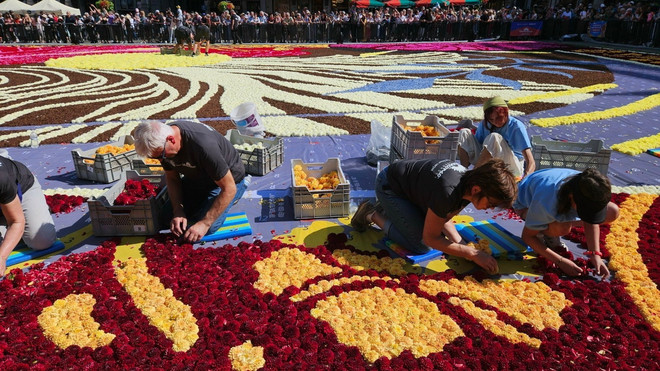 ttxvn tham_hoa_brussels_2024-3.jpg