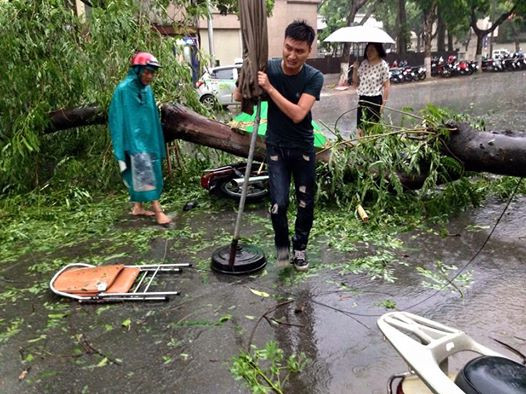 Trận dông lốc lịch sử khiến 1 người chết, 120 cây gãy đổ ảnh 1