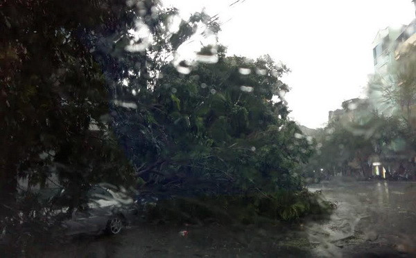 Hà Nội: Hàng trăm cây gãy đổ, ít nhất 5 người thương vong ảnh 3