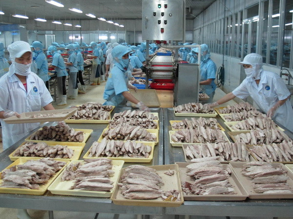 Chế biến cá ngừ đóng hộp tại Công ty KTC Food Kiên Giang. (Ảnh: Phương Vy/TTXVN) Xuất khẩu thủy sản duy trì tốc độ tăng trưởng và vị trí chủ lực ảnh 1