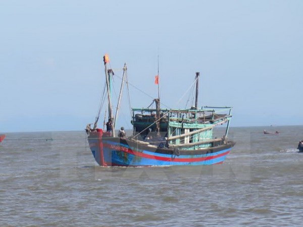 Malaysia bắt giữ 10 ngư dân Việt Nam, thu giữ tàu và 200kg cá ảnh 1