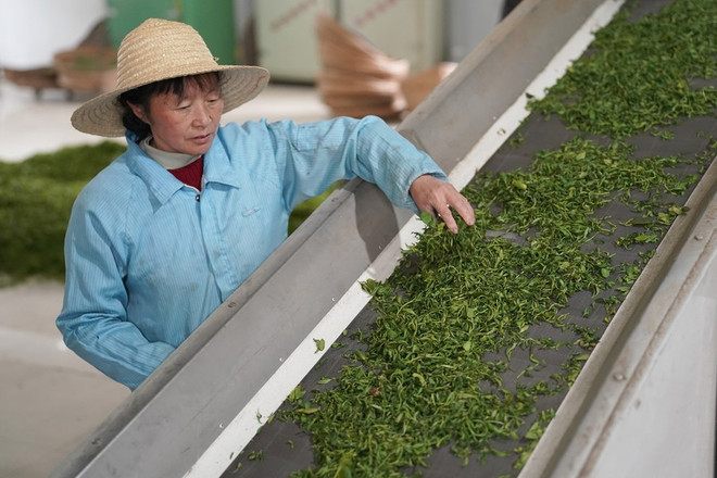 Trung Quốc: Hoạt động của các doanh nghiệp vừa và nhỏ cải thiện ảnh 1