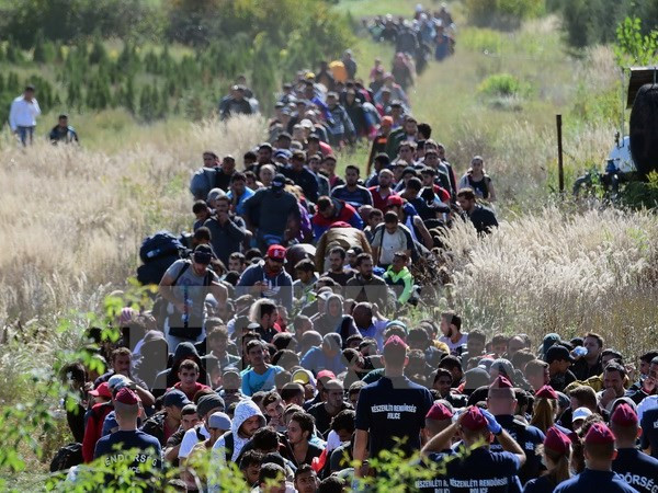 Thổ Nhĩ Kỳ không phải "trại tập trung" cho người tị nạn ảnh 1