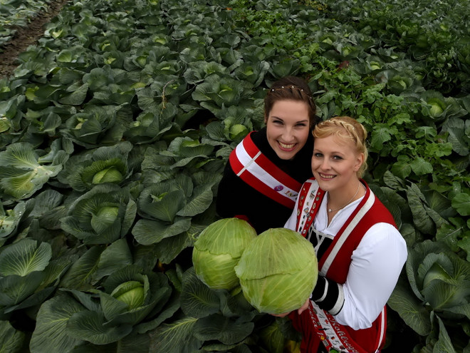 Ủy ban châu Âu chi hơn 110 triệu euro thúc đẩy tiêu thụ nông sản ảnh 1