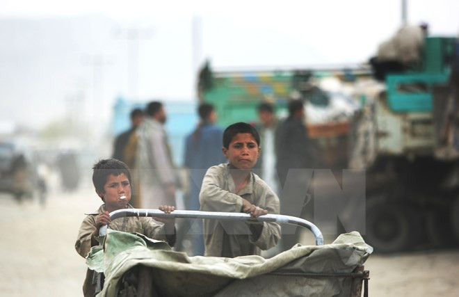 Bảo hộ xã hội - chìa khóa giúp tiêu diệt "giặc đói nghèo" ảnh 1