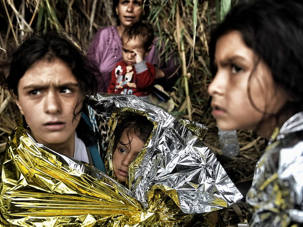 14 người di cư thiệt mạng do tai nạn xe buýt tại Thổ Nhĩ Kỳ ảnh 1