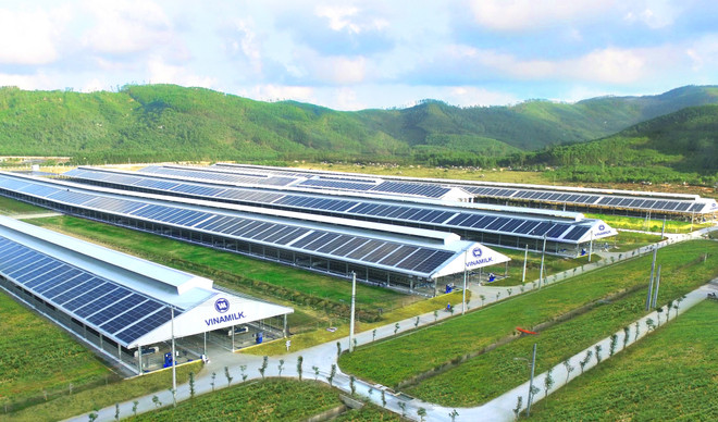 Năng lượng mặt trời đã được Vinamilk triển khai áp dụng trên tất cả trang trại cả nước, dự kiến hoàn thành vào cuối 2021. Vinamilk thăng hạng 6 bậc trong Tốp 50 công ty sữa lớn nhất thế giới ảnh 5