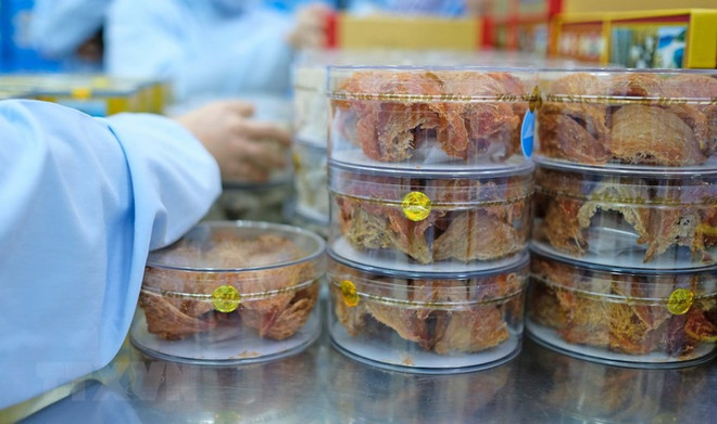  Phát triển nghề nuôi yến tại Việt Nam: Còn nhiều thách thức ảnh 1