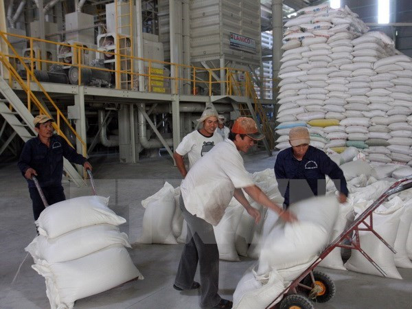 Bắt đầu thu mua tạm trữ 1 triệu tấn gạo vụ Đông Xuân 2014-2015 ảnh 1