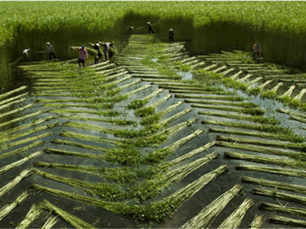 Triển lãm ảnh di sản tại Hoàng thành Thăng Long ảnh 1