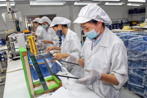 Lấp lỗ hổng trong thực thi các hiệp định thương mại tự do ảnh 1